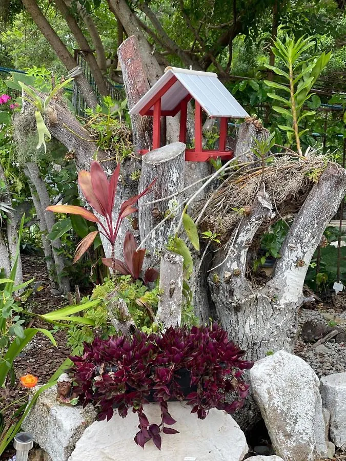 Jardim Da Vovo! Daire Florianópolis Brezilya